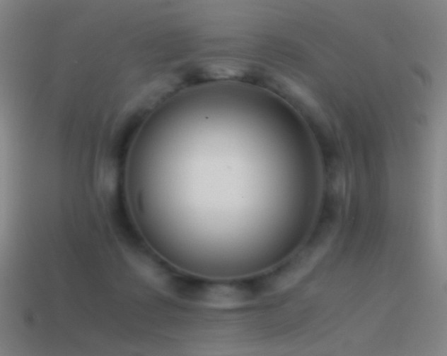 X0000114410315200910161212