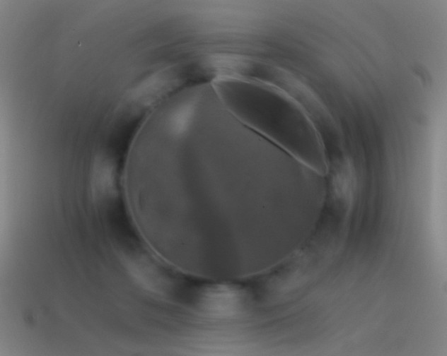 X0000114410316200910161212