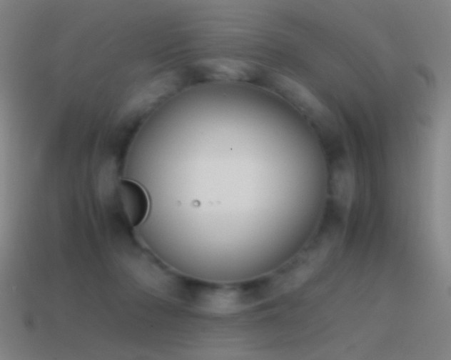 X0000114410318200910161212