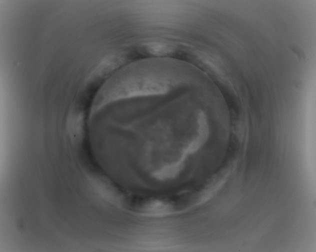 X0000114410319200910161212