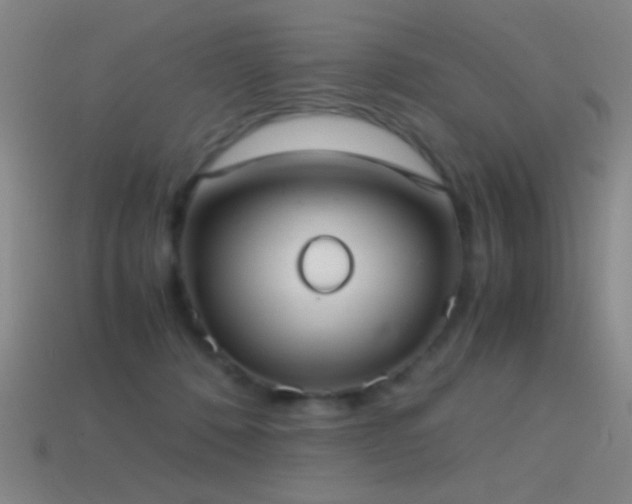 X0000114410320200910161212