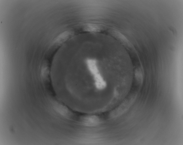 X0000114410322200910161212