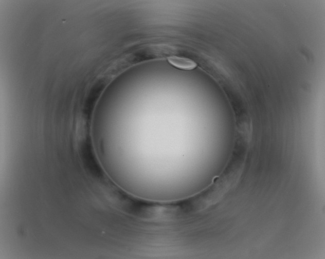 X0000114410323200910161212