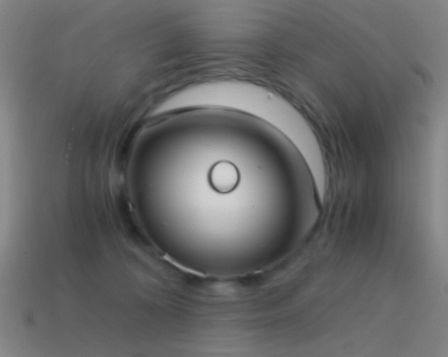 X0000114410324200910161212