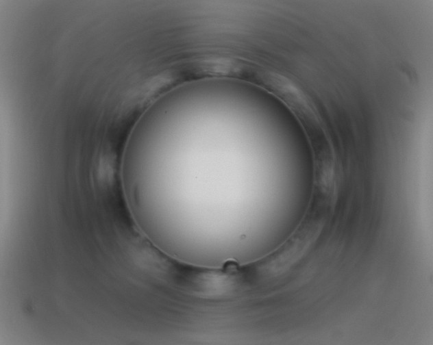 X0000114410326200910161212