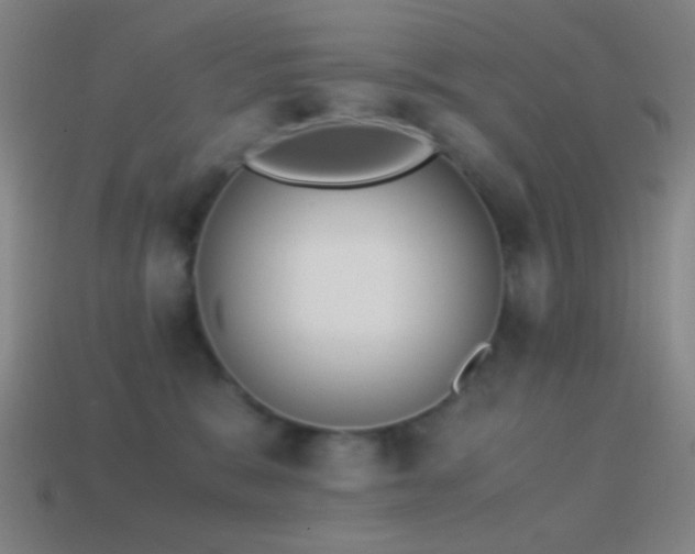 X0000114410327200910161212