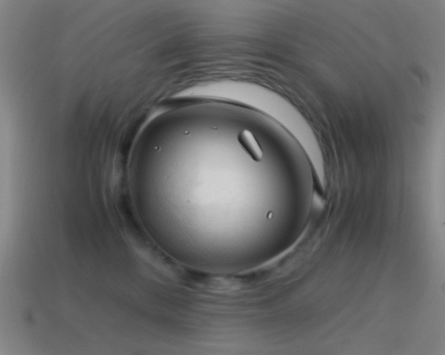 X0000114410328200910161212