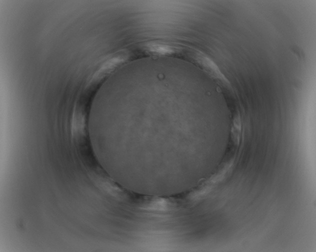 X0000114410330200910161212