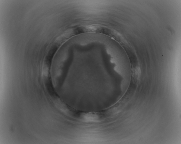 X0000114410331200910161212