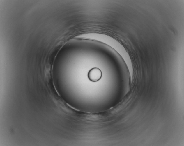 X0000114410332200910161212