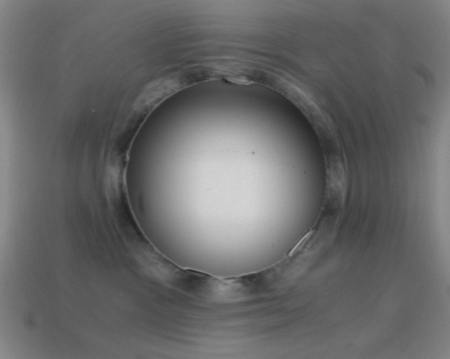X0000114410333200910161212