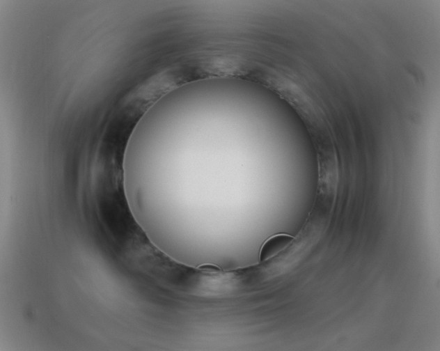 X0000114410334200910161212