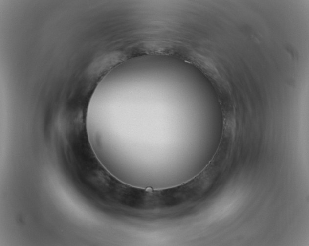 X0000114410335200910161212
