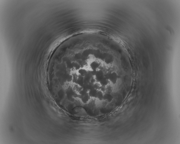 X0000114410337200910161211