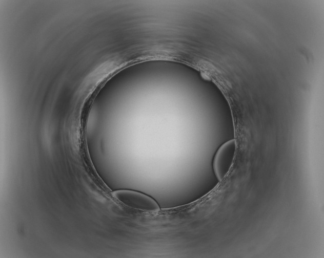 X0000114410338200910161211