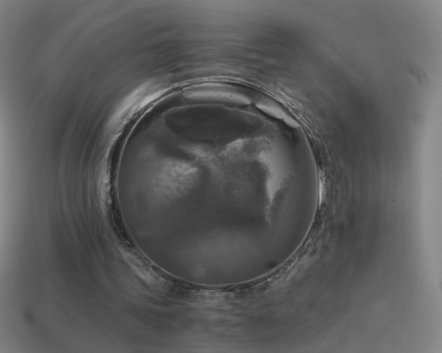 X0000114410339200910161211