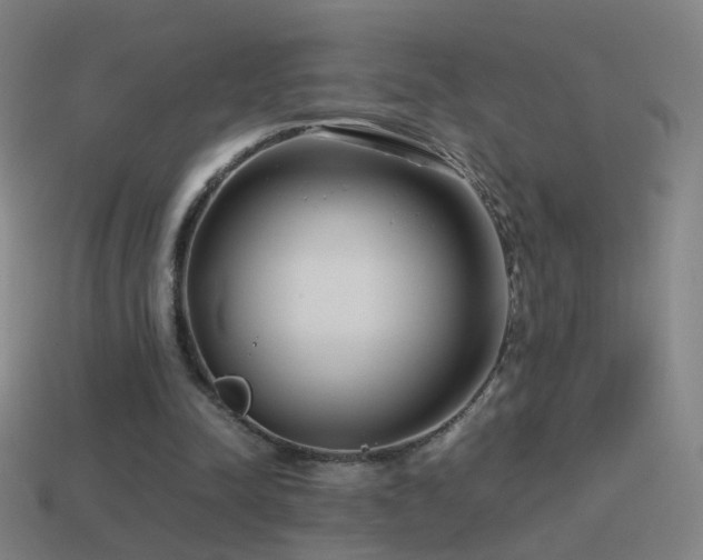 X0000114410342200910161211