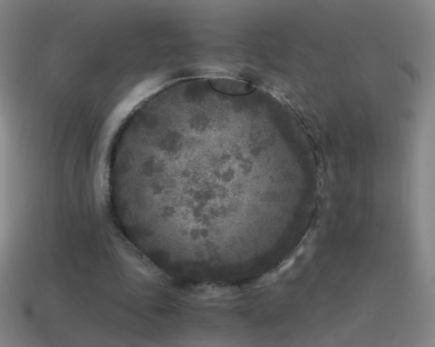 X0000114410343200910161211