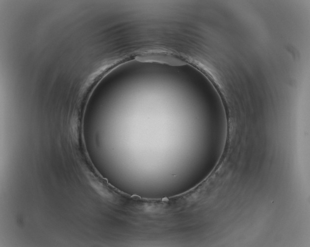X0000114410345200910161211