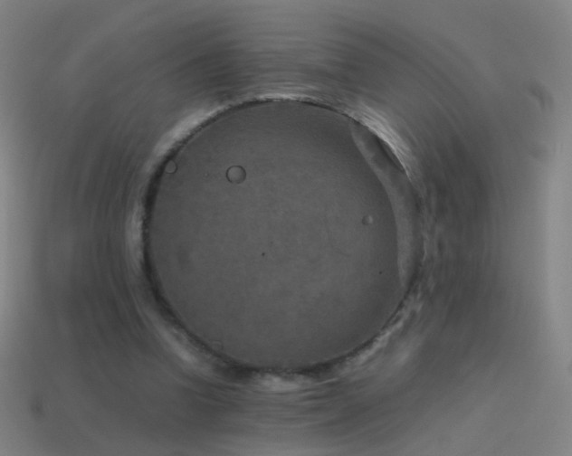 X0000114410346200910161211