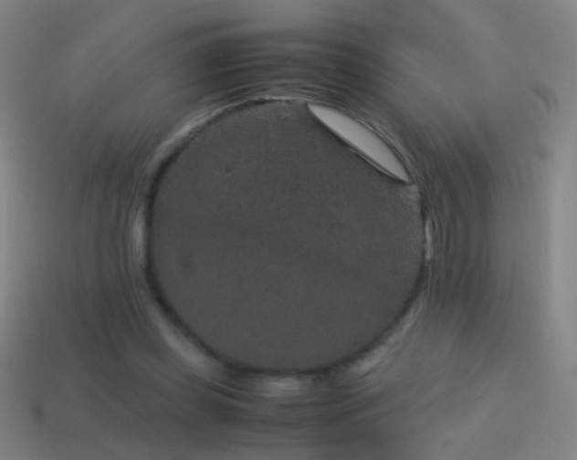 X0000114410349200910161211