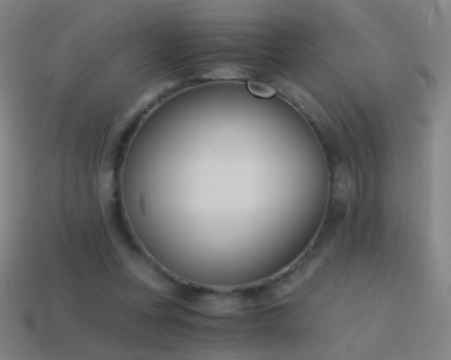 X0000114410351200910161211