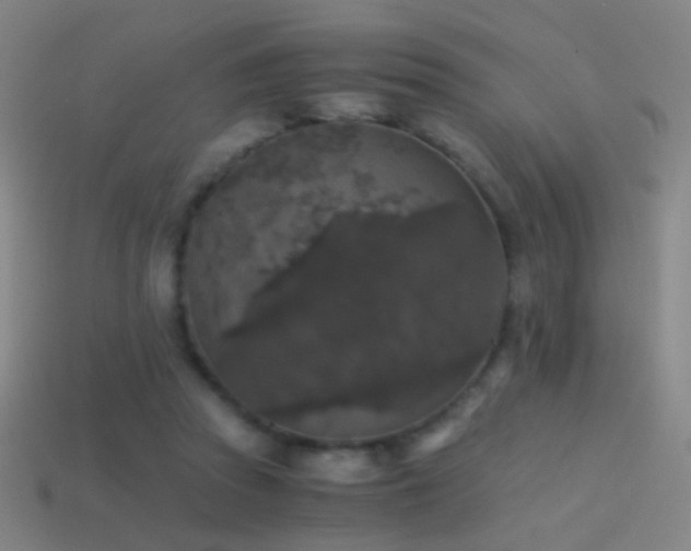 X0000114410353200910161211