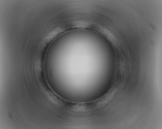 X0000114410354200910161211
