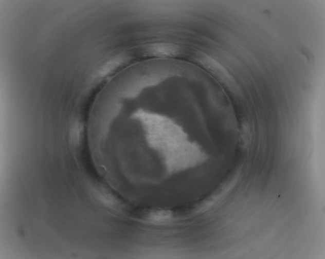 X0000114410355200910161211