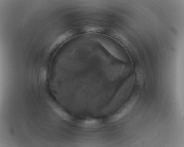 X0000114410357200910161211