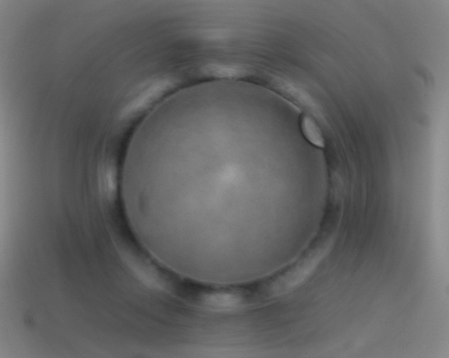 X0000114410358200910161211