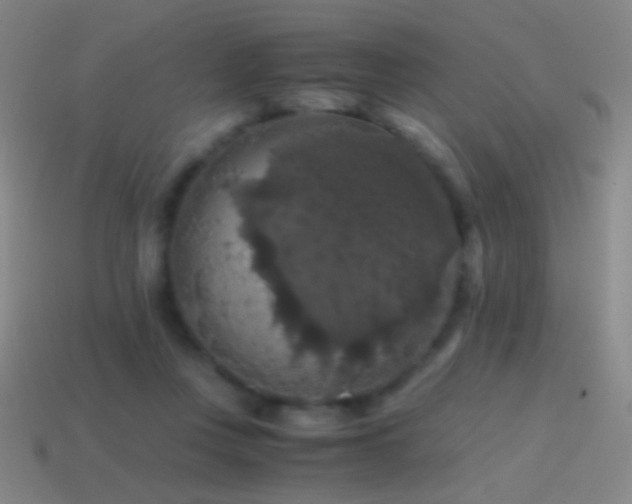X0000114410359200910161211