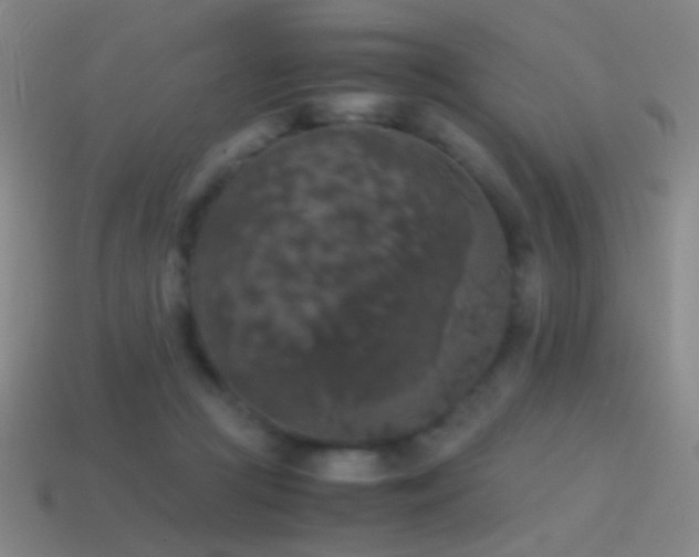 X0000114410361200910161212
