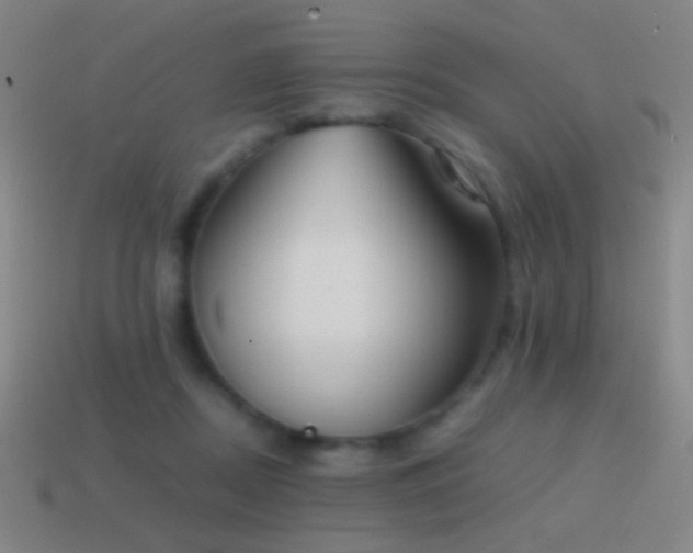 X0000114410362200910161212