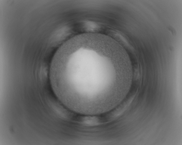 X0000114410363200910161212