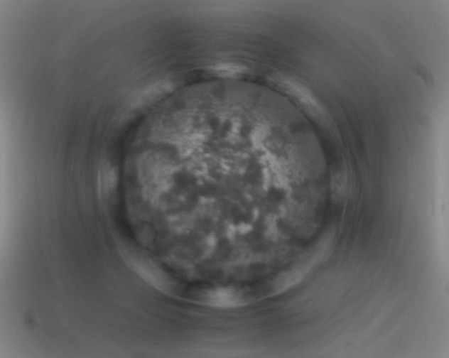 X0000114410365200910161212