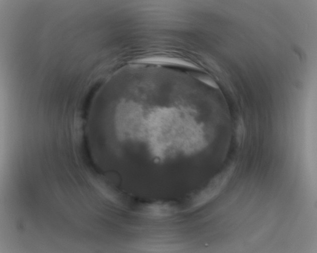 X0000114410366200910161212
