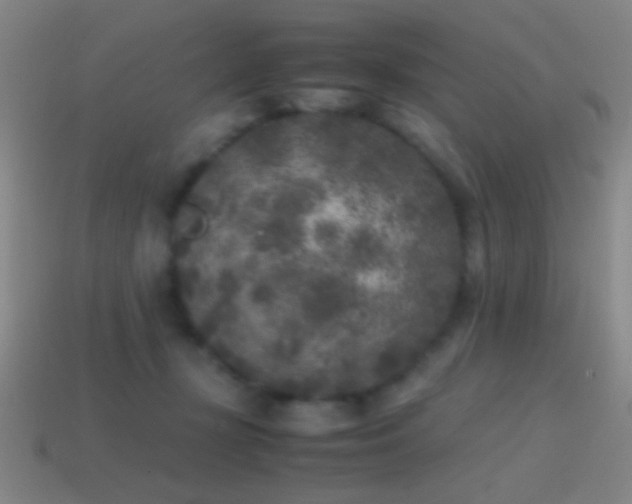 X0000114410367200910161212