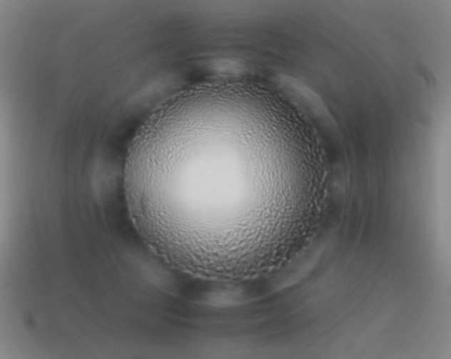 X0000114410369200910161212