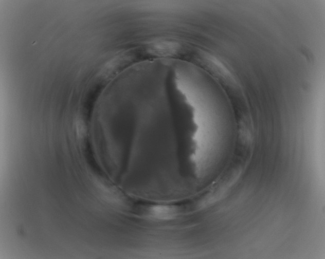 X0000114410371200910161212
