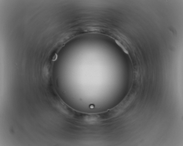 X0000114410373200910161212