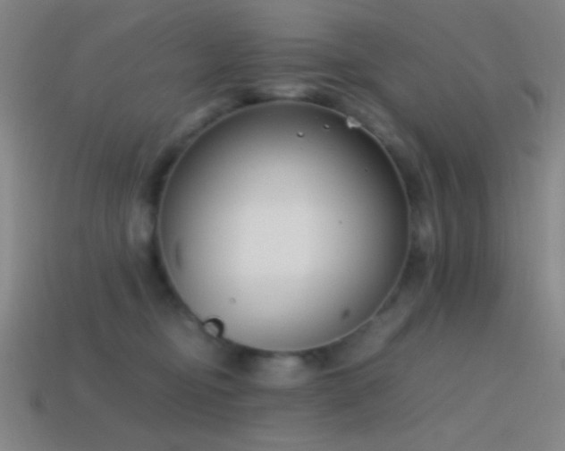 X0000114410374200910161212