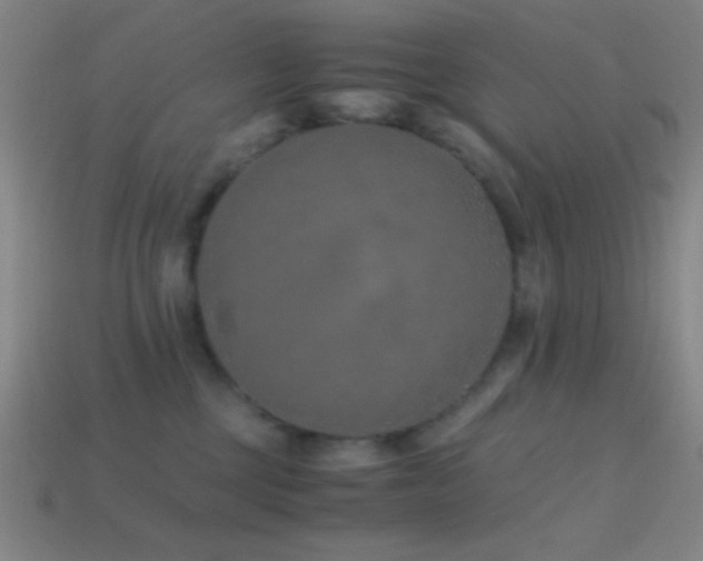 X0000114410377200910161212