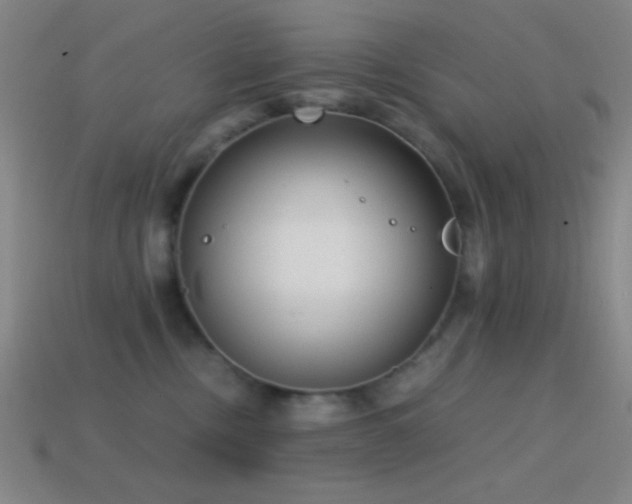X0000114410378200910161212