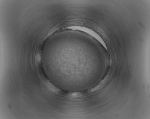 X0000114410382200910161212