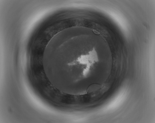 X0000114410383200910161212