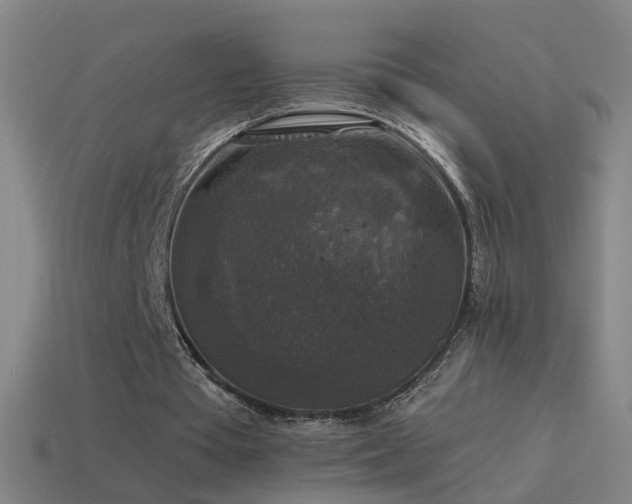 X0000114410385200910161211