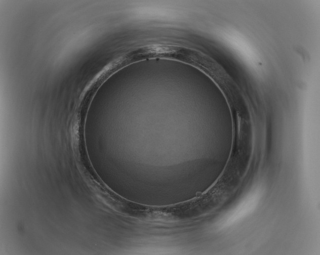 X0000114410387200910161211