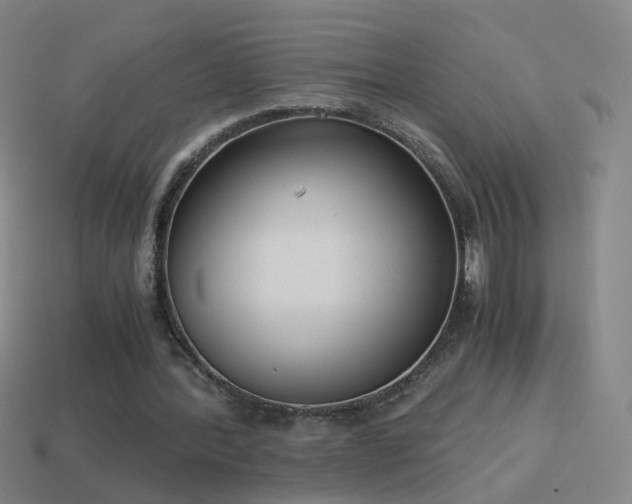 X0000114410388200910161211