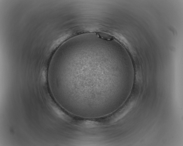 X0000114410393200910161211